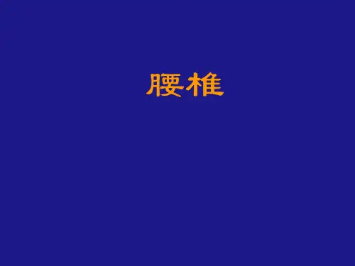 腰椎病 ppt课件