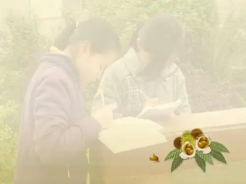 珍惜时间,合理安排学习时间ppt优秀课件3(4份) 教科版