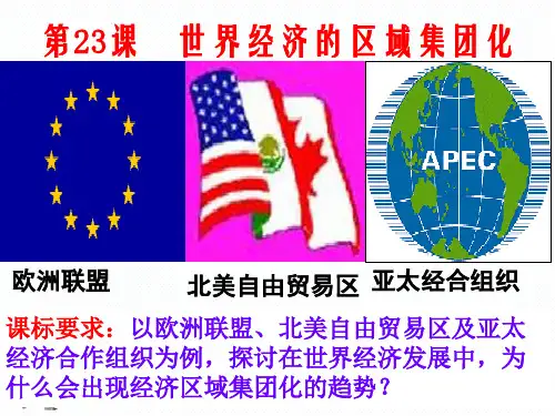 人教版高中历史必修二课件：23课世界经济的区域集团化