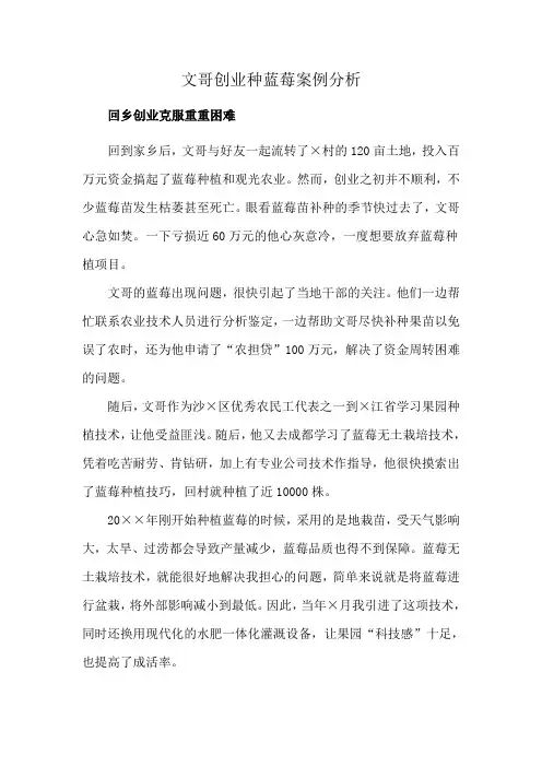 文哥创业种蓝莓案例分析