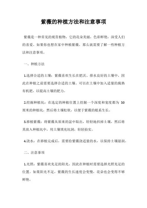紫薇的种植方法和注意事项