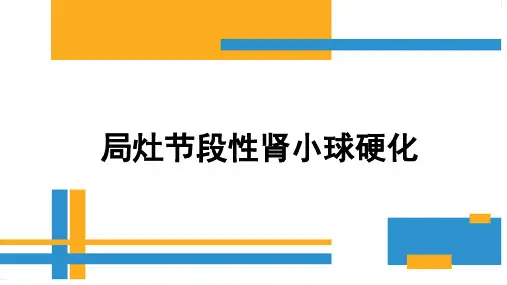 局灶节段性肾小球硬化---PPT精品课件