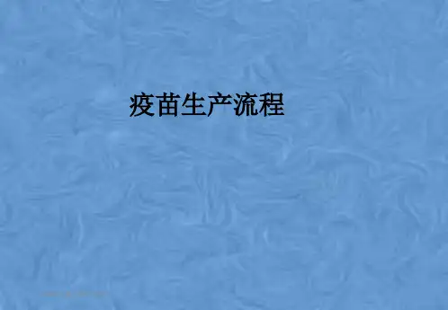 疫苗生产流程