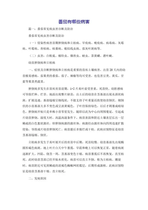 番茄有哪些病害