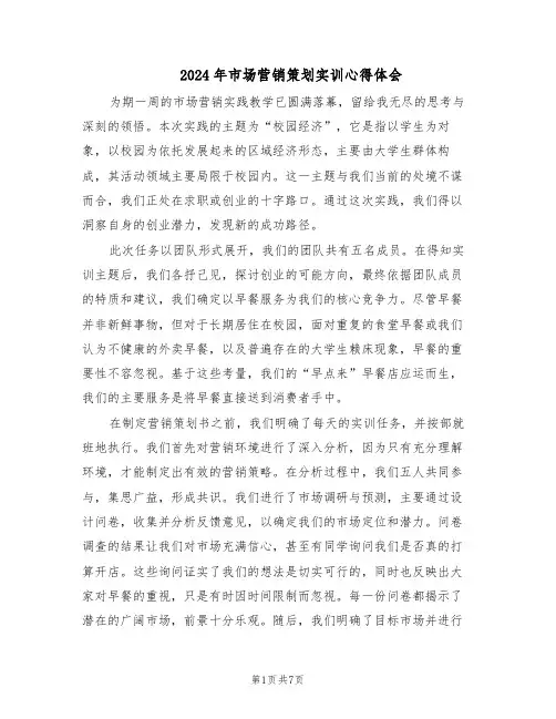 2024年市场营销策划实训心得体会（3篇）