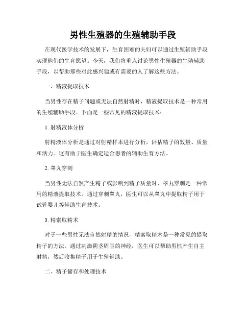 男性生殖器的生殖辅助手段