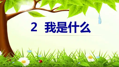 《我是什么》教学课件下载ppt3(共25张PPT)