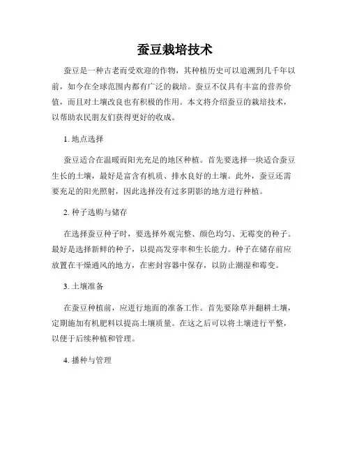 蚕豆栽培技术