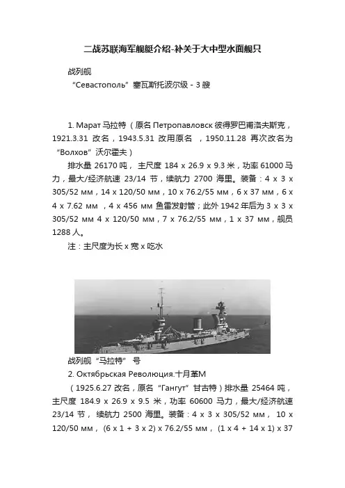 二战苏联海军舰艇介绍-补关于大中型水面舰只