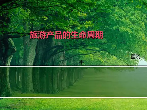 旅游产品的生命周期PPT课件