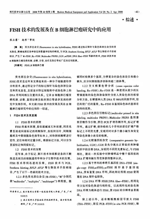 FISH技术的发展及在B细胞淋巴瘤研究中的应用
