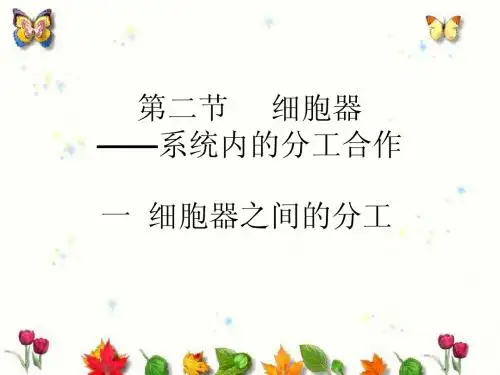 人教版教学课件生物必修一 第三章第2节 细胞器