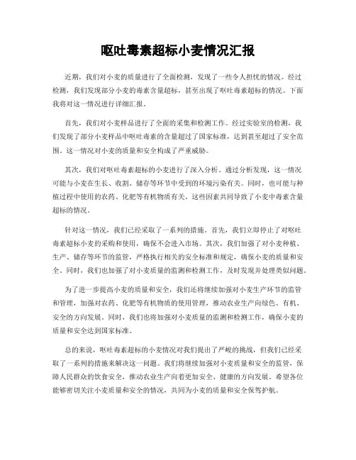 呕吐毒素超标小麦情况汇报