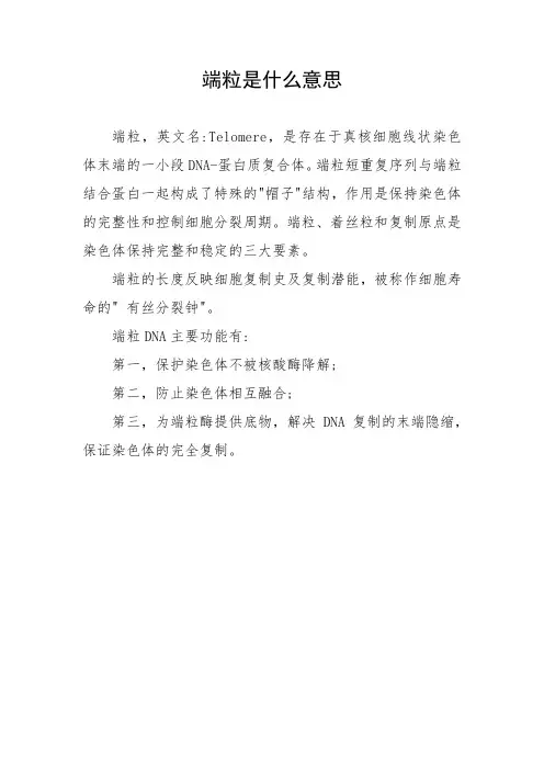 端粒是什么意思
