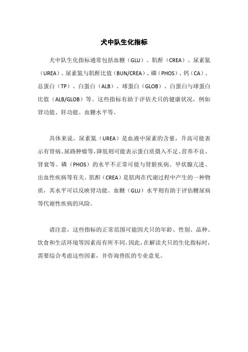 犬中队生化指标