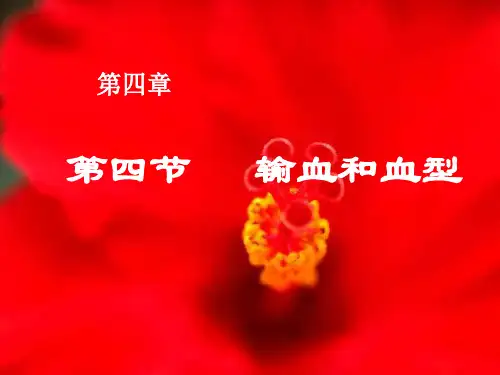 输血与血型PPT课件16 人教版