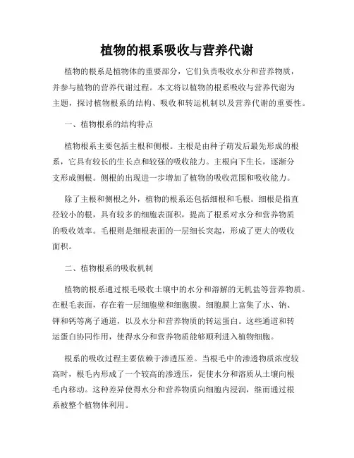 植物的根系吸收与营养代谢