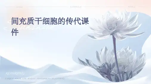间充质干细胞的传代课件