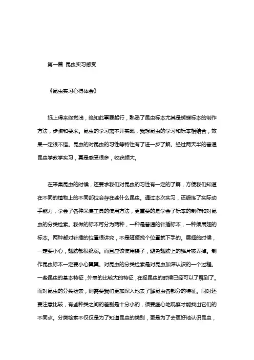 昆虫实习感受
