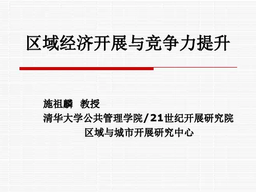 区域经济发展与竞争力