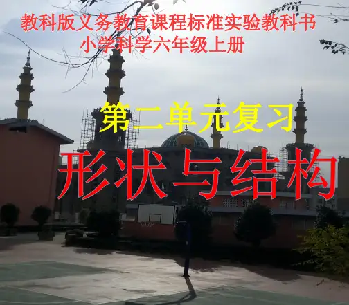 六年级上册科学课件-第二单元复习形状和结构｜教科版(共16张PPT)