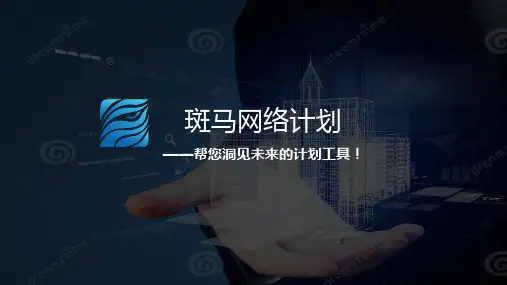 斑马网络进度计划培训