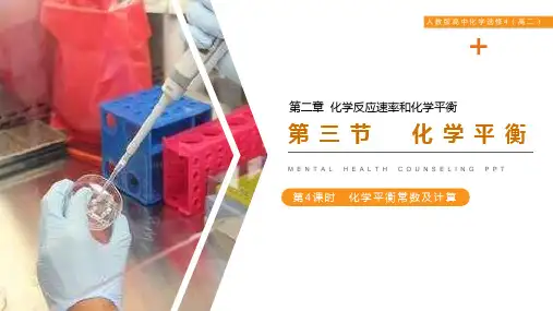 《化学平衡》人教版高二化学选修4PPT课件(第4课时)