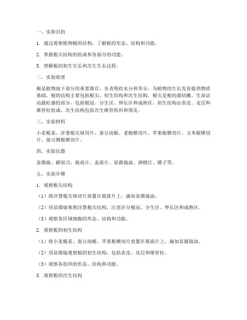 根结构观察实验报告