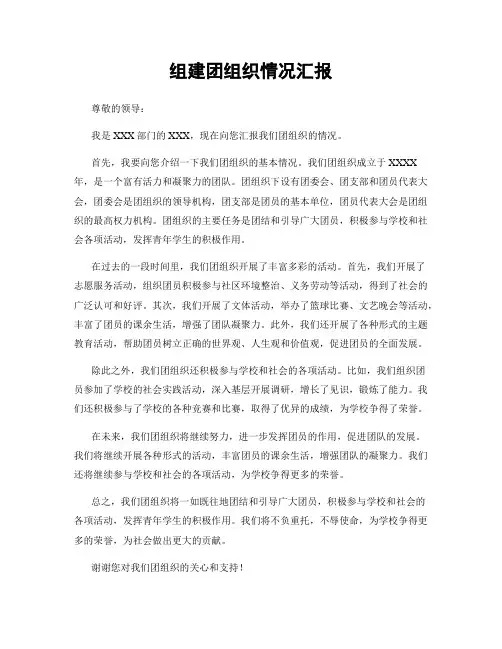 组建团组织情况汇报