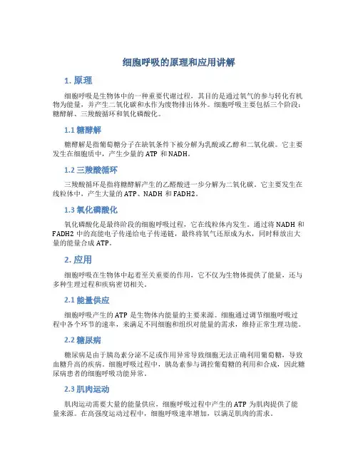 细胞呼吸的原理和应用讲解