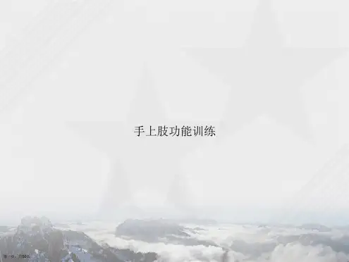 手上肢功能训练讲课文档