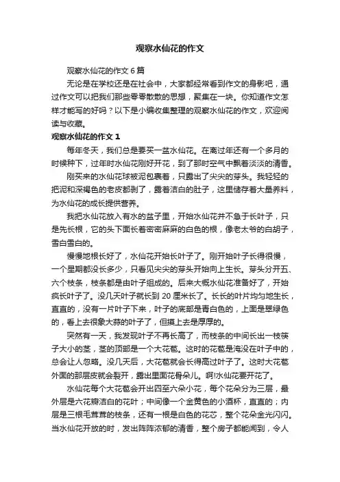 观察水仙花的作文6篇