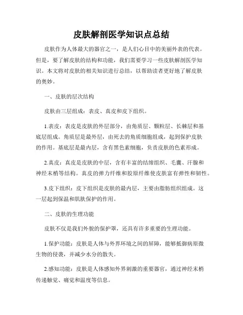 皮肤解剖医学知识点总结