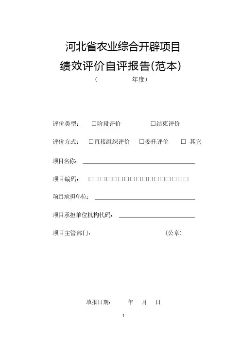 农发自评报告范本
