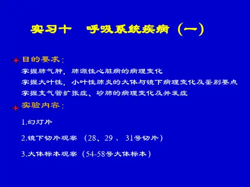 病理实验：呼吸系统疾病