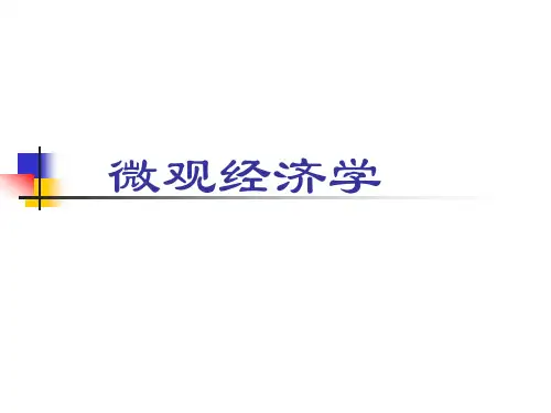 微观经济学课件(对外经贸大学,施丹)