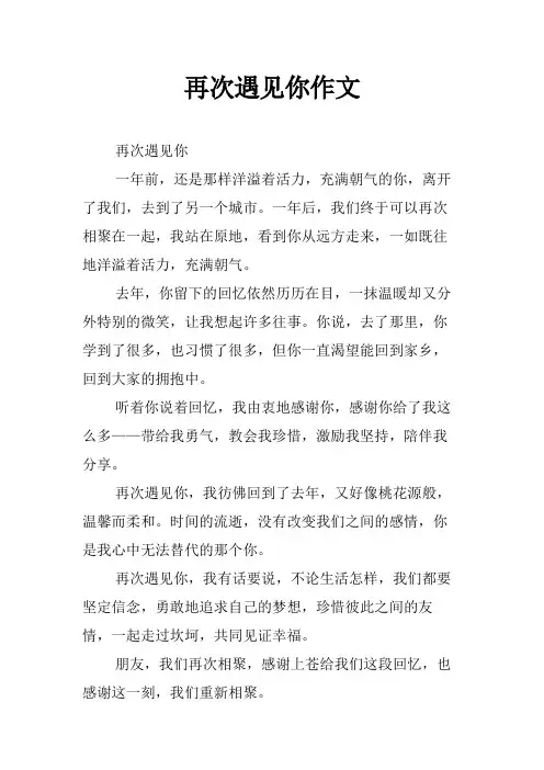 再次遇见你作文