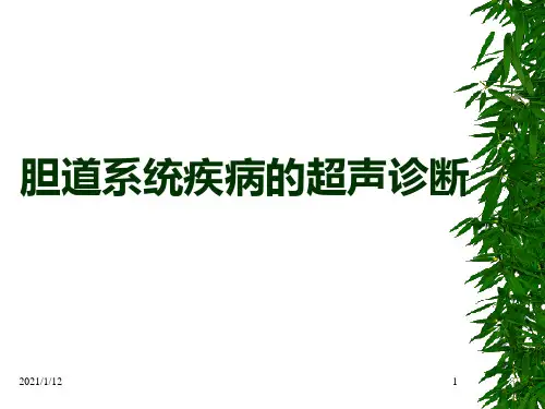 胆道系统疾病的超声诊断课件