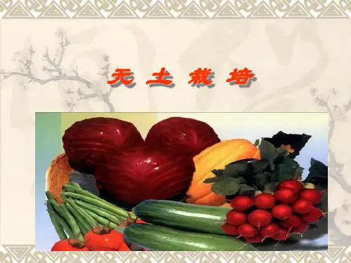 无土栽培2  营养液栽培(营养液的配置与管理)PPT课件