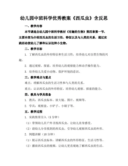 幼儿园中班科学优秀教案《西瓜虫》含反思