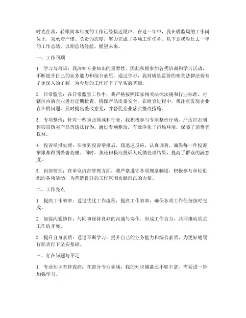 质监局个人工作总结