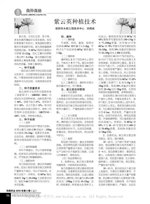 紫云英种植技术