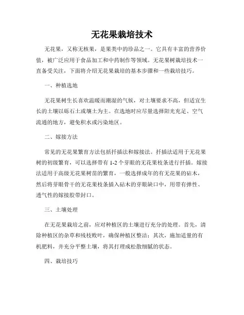 无花果栽培技术