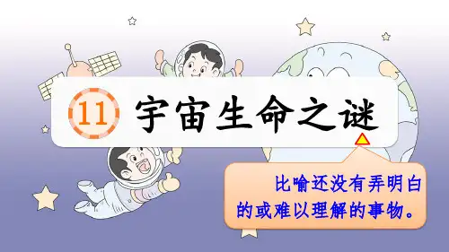 《宇宙生命之谜》ppt课件