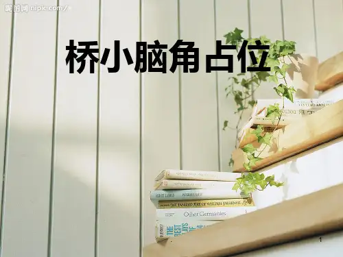 《桥小脑角占位》PPT课件