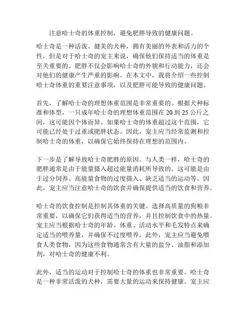 注意哈士奇的体重控制,避免肥胖导致的健康问题。