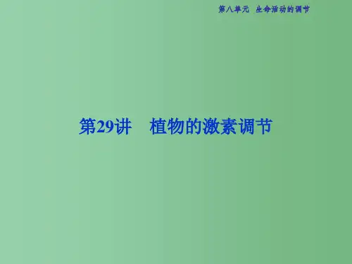 高考生物总复习 第8单元 第29讲 植物的激素调节课件