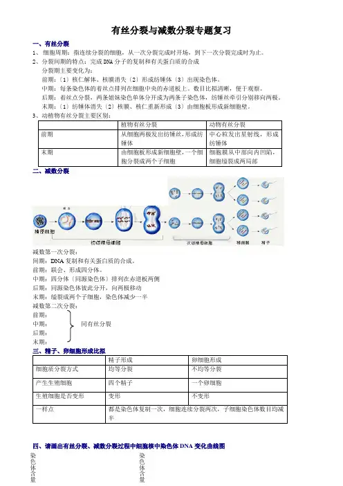 有丝分裂与减数分裂专题复习