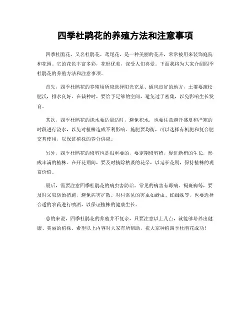 四季杜鹃花的养殖方法和注意事项