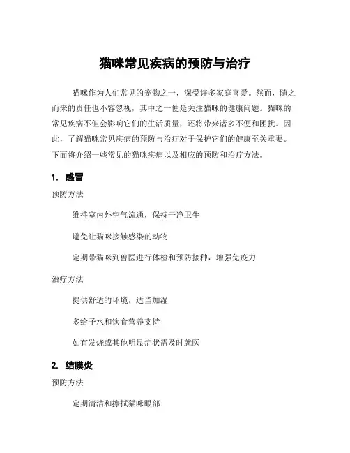 猫咪常见疾病的预防与治疗